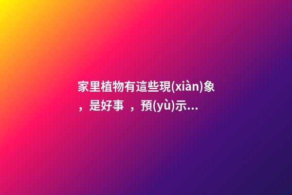 家里植物有這些現(xiàn)象，是好事，預(yù)示你家要發(fā)大財(cái)了！